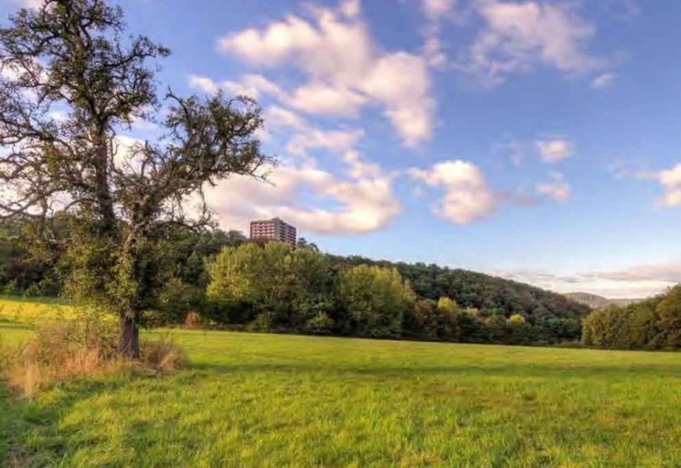 B603, Bezauberndes Appartement Lahnstein Eksteriør bilde
